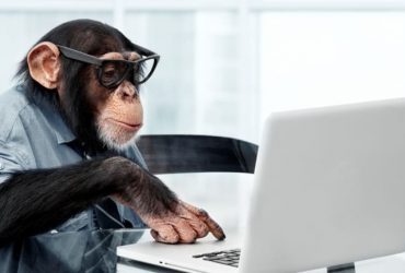 میمون‌های چشم بسته یا Blindfolded Monkey در بورس