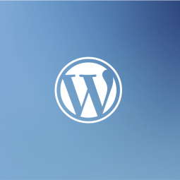 نمایش تصویر اصلی در تصویر شاخص وردپرس