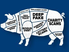 پرونده پیگ بوچرینگ در آسیا