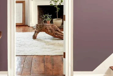 رنگ سال ۲۰۲۵