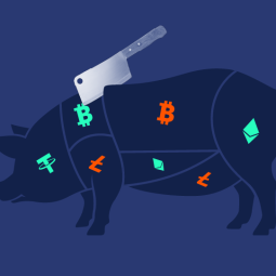 همه چیز درمورد کلاهبرداری Pig Butchering