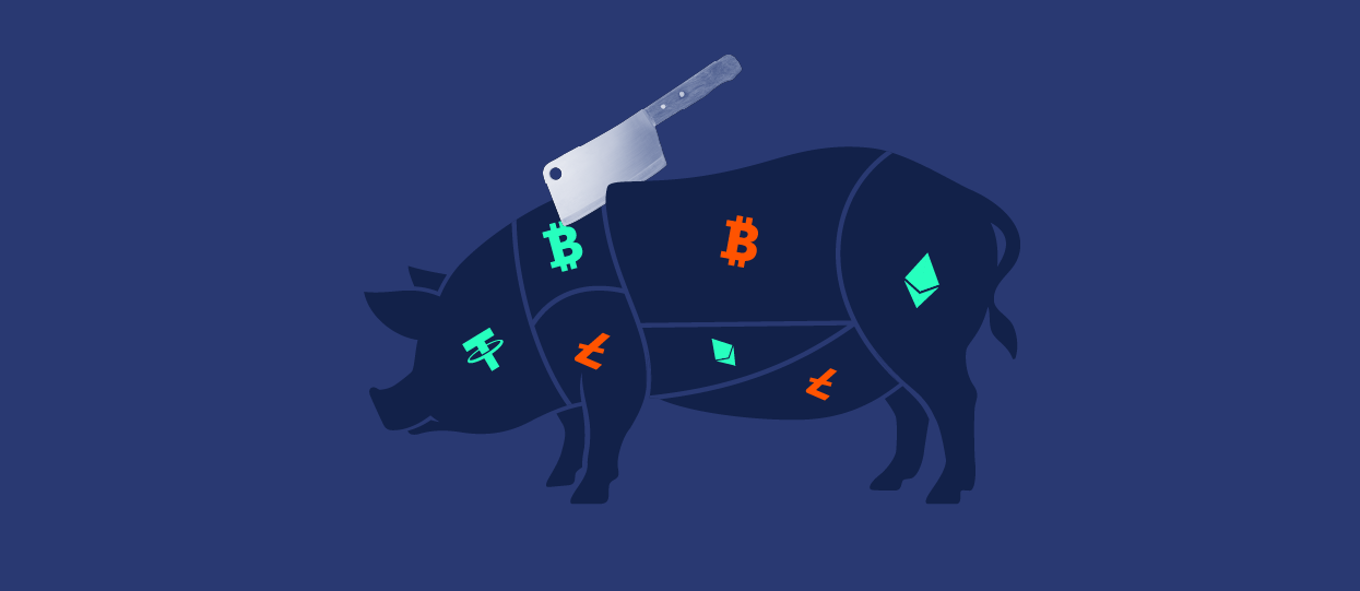 همه چیز درمورد کلاهبرداری Pig Butchering